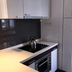 The Levelz (D10), Condominium #456931451